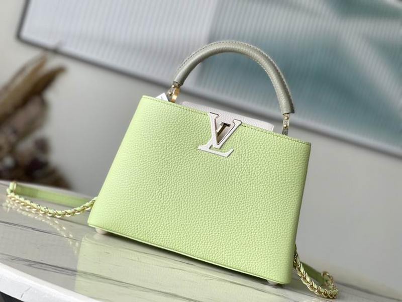 LV Handbags 114